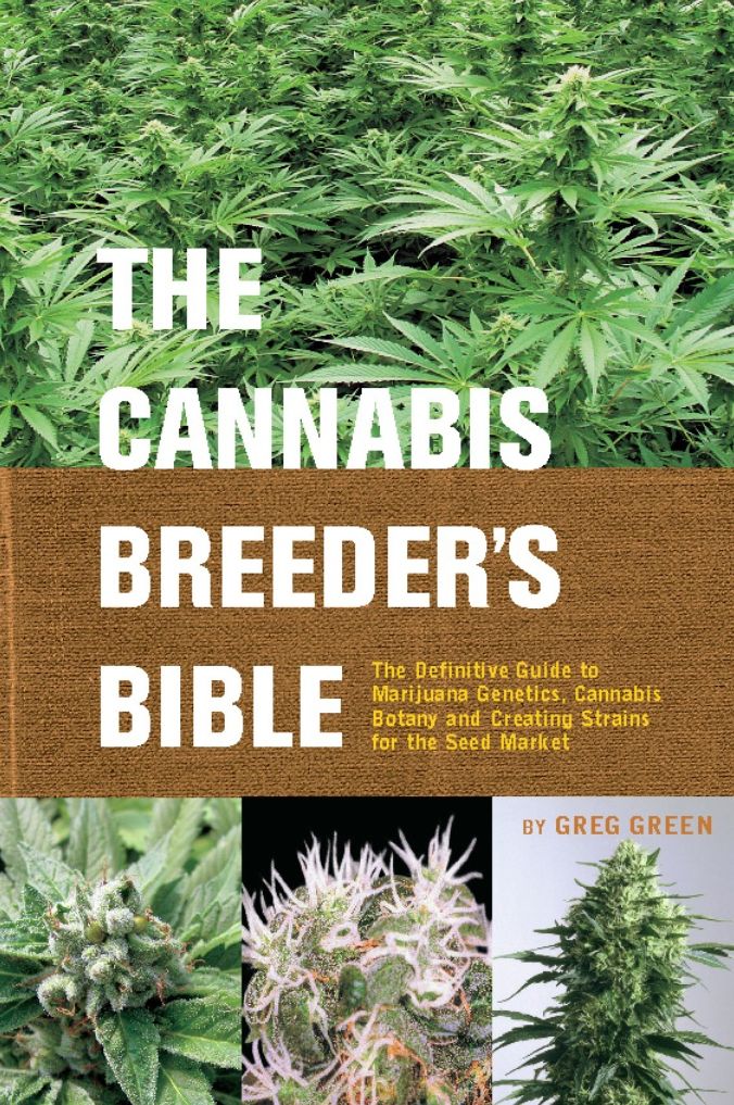 Cannabis Breeder's Bible: The Definitive Guide