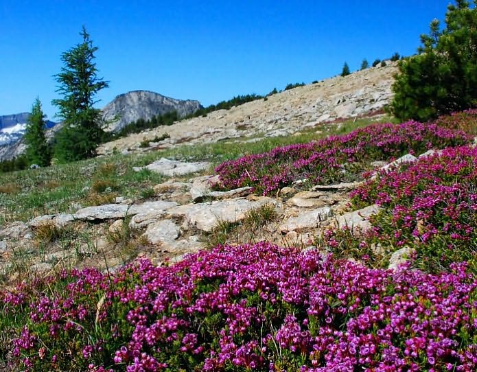Hikes and Climbs to Bitterroot Mountain Summits