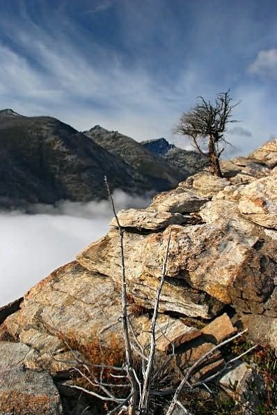 Hikes and Climbs to Bitterroot Mountain Summits