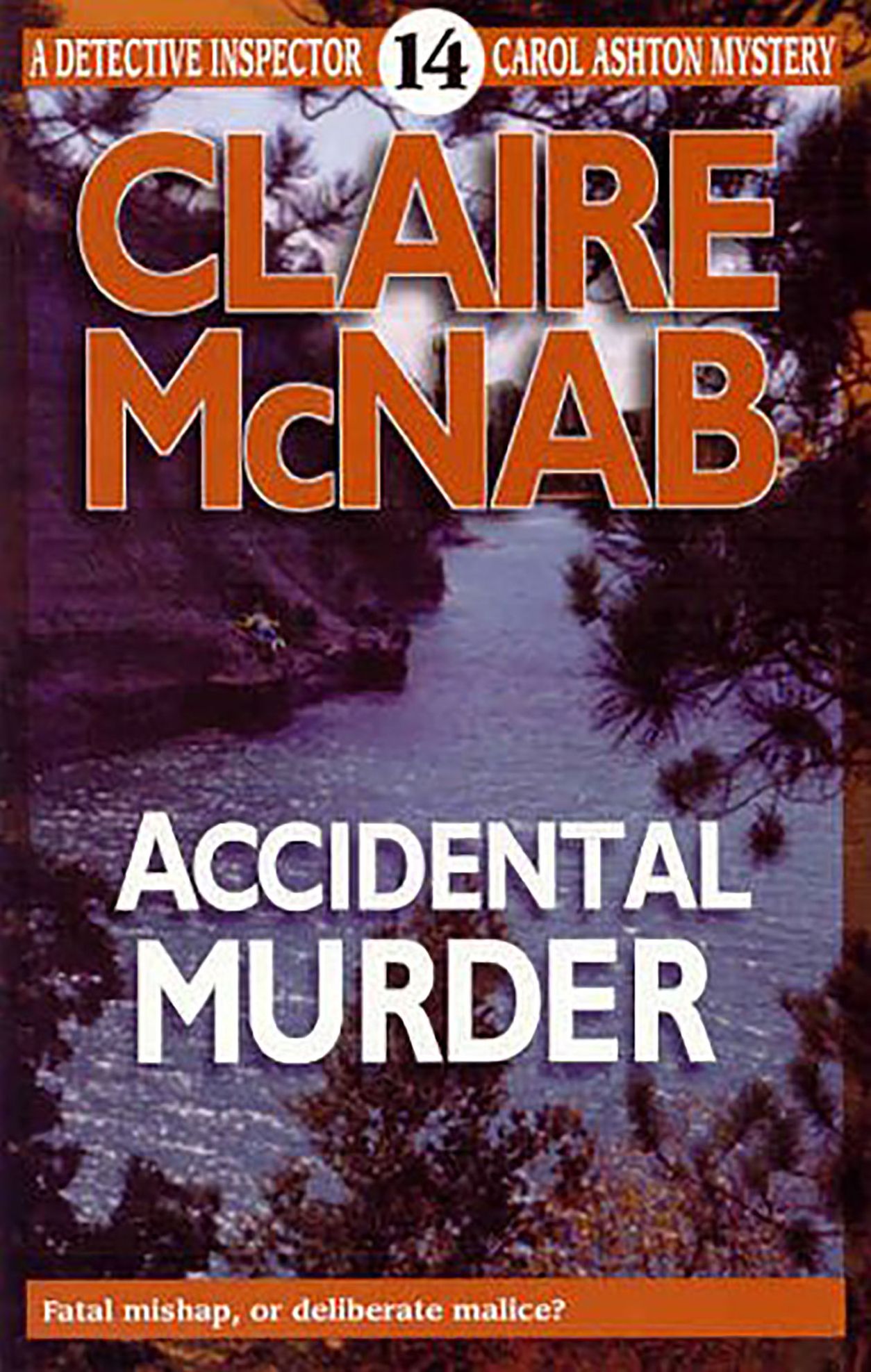 Accidental Murder (Carol Ashton Series #14)
