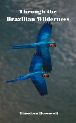 Through the Brazilian Wilderness