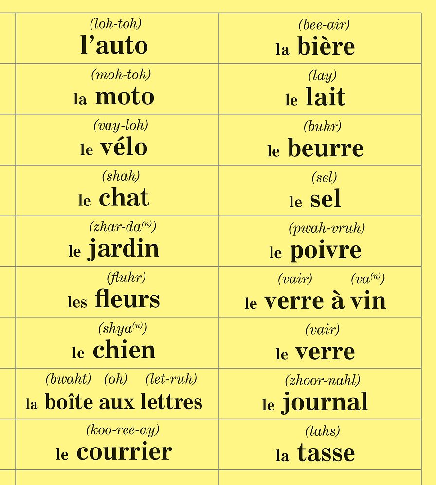 FRENCH in 10 minutes a day