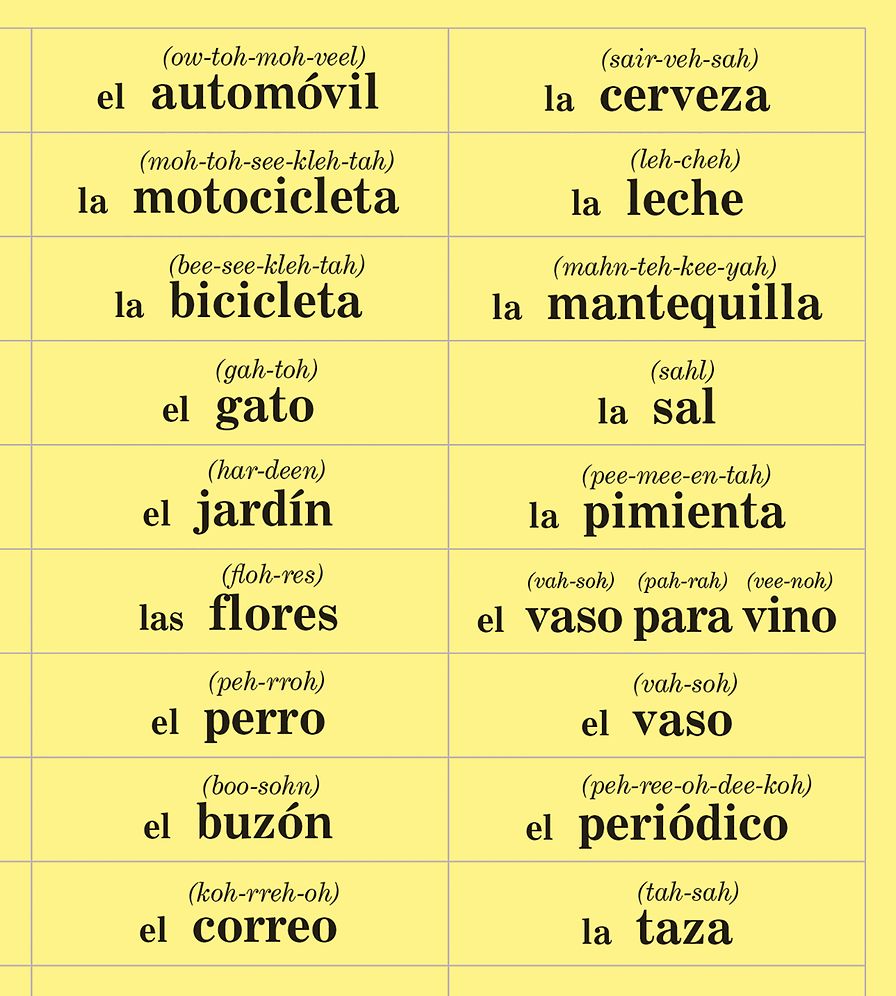 SPANISH in 10 minutes a day