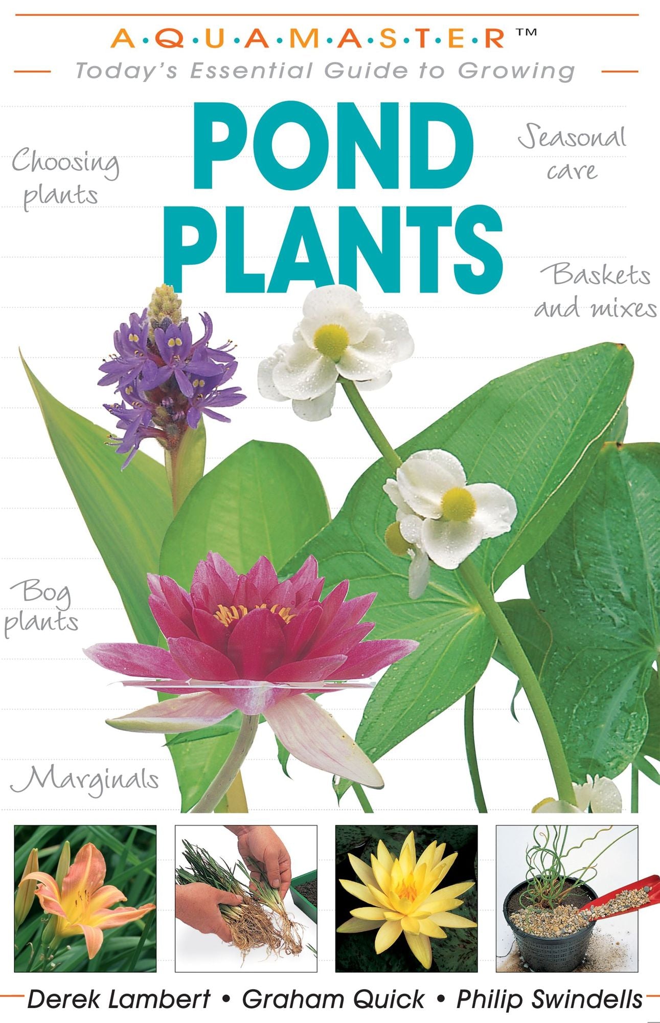 Pond Plants: Today's Essential Guide to Growing Pond Plants