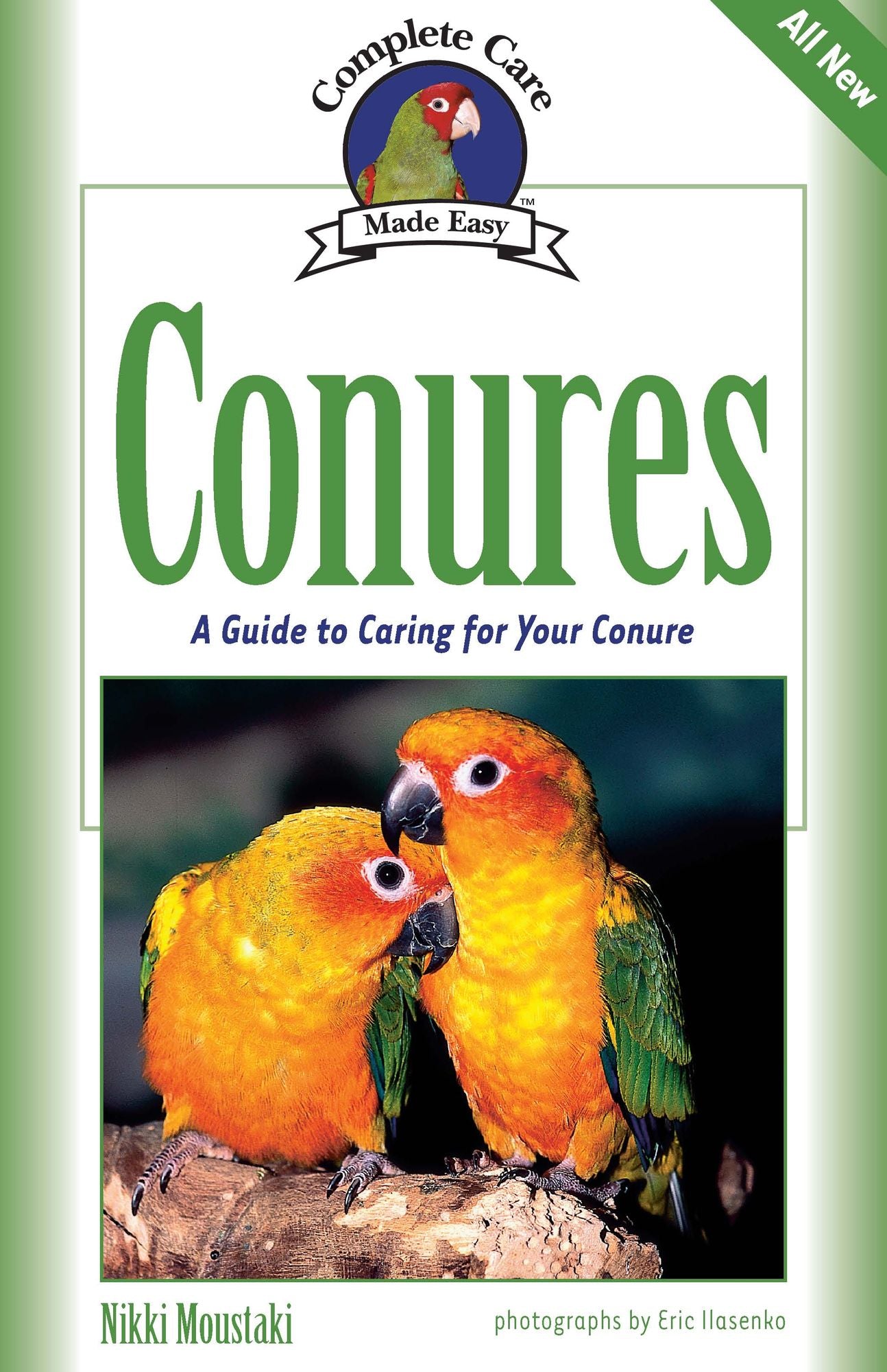 Conures: A Complete Guide to Caring for Your Conure
