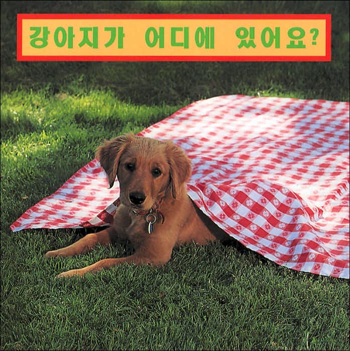 Where's the Puppy? (Korean)
