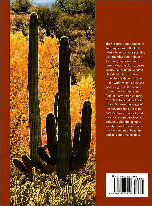 All About Saguaros: Facts, Lore, Photos