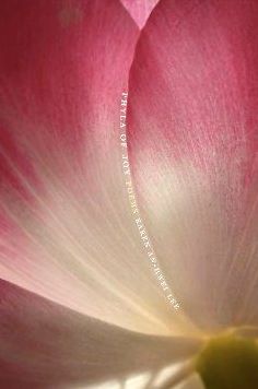 Phyla of Joy