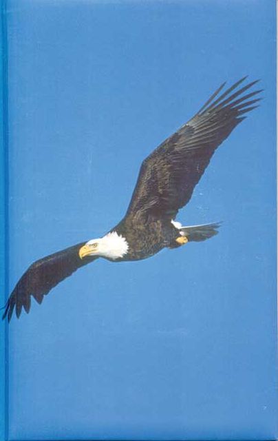 Eagle Journal