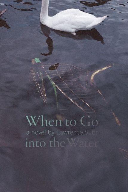 When to Go into the Water: A Novel