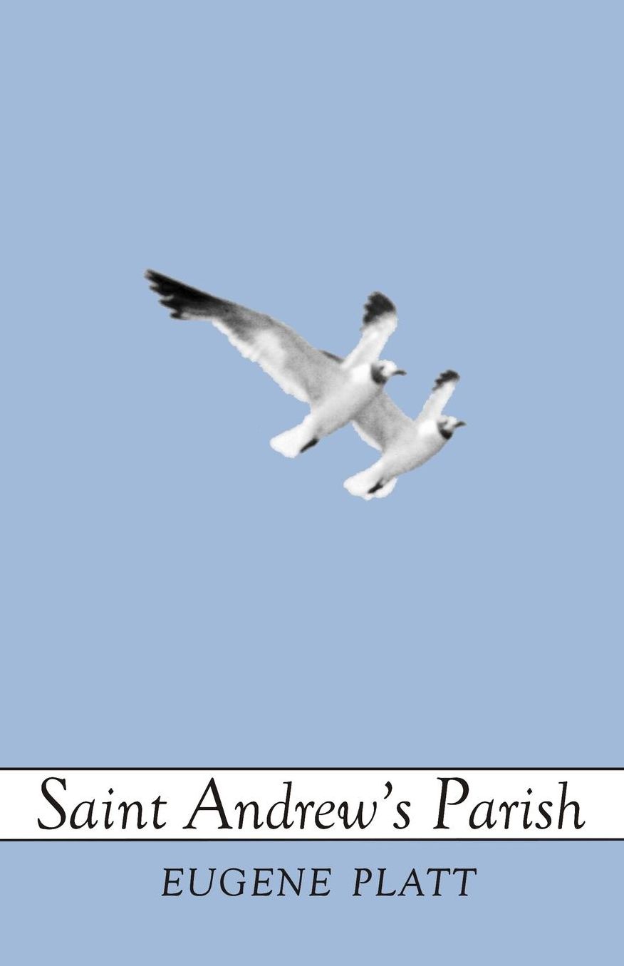 Saint Andrew's Parish: A Novel of Redemption