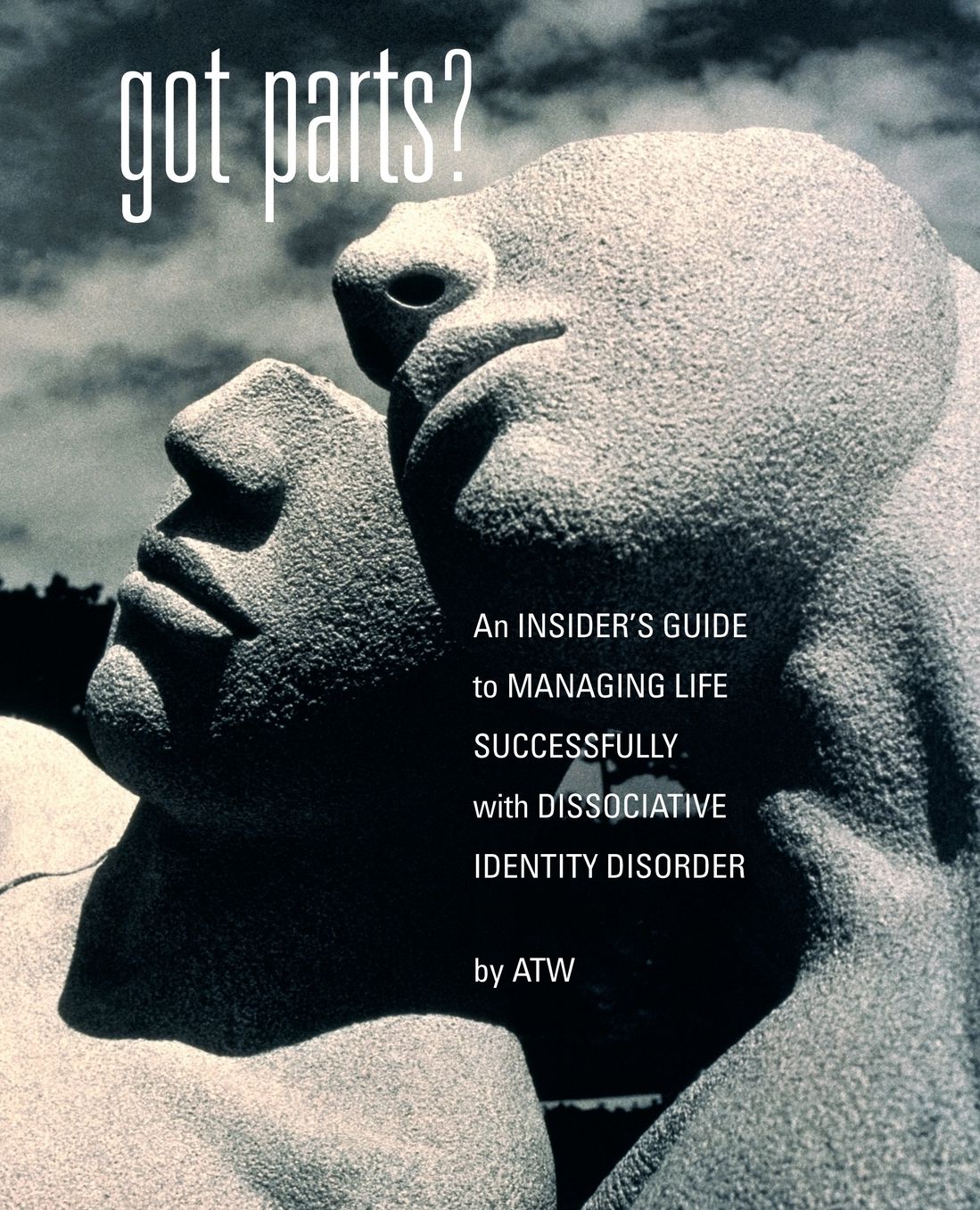 Got Parts? An Insider's Guide To Managing Life Successfully With Dissociative Identity Disorder
