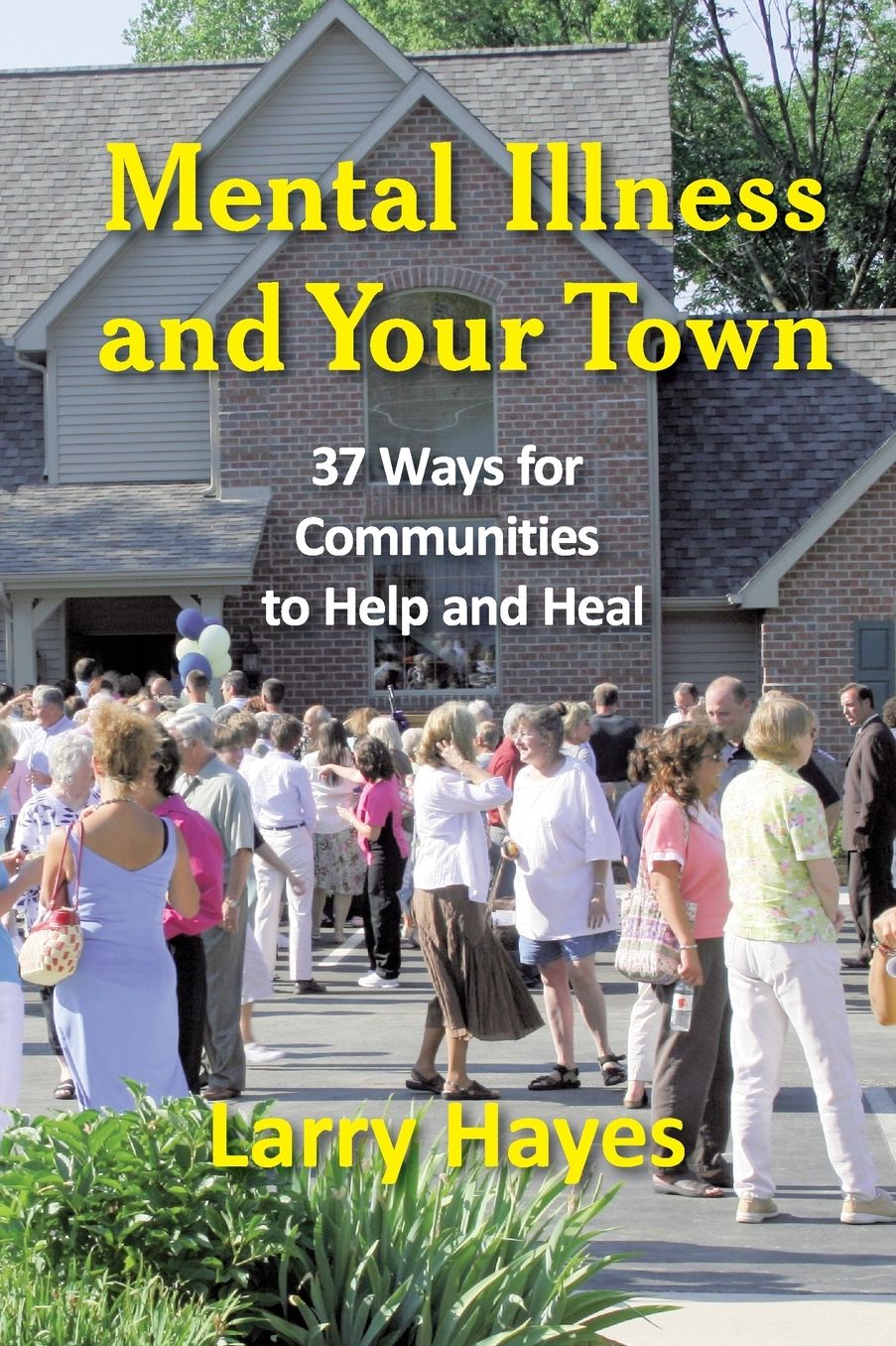 Mental Illness And Your Town