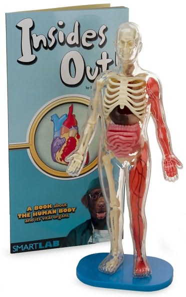 Squishy Human Body