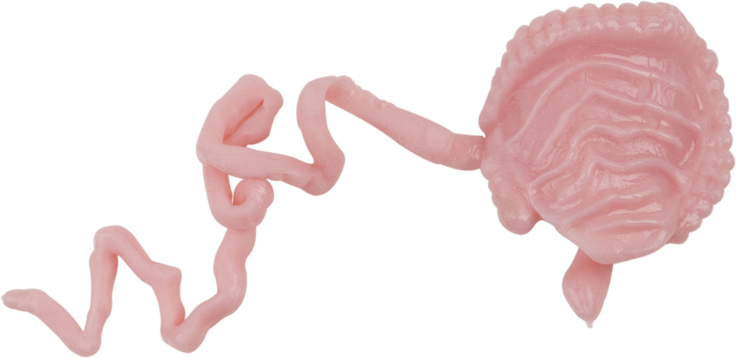 Squishy Human Body
