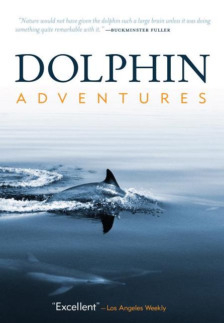Dolphin Adventures