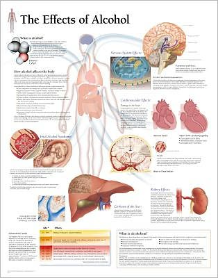 The Effects of Alcohol chart
