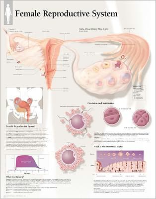 Understanding Nutrition chart