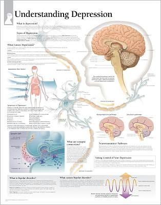 Understanding Depression chart