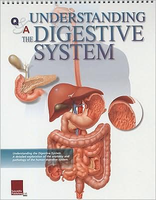 Understanding the Digestive System: Flip Chart Book