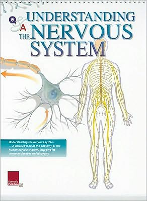 Understanding the Nervous System Flip Chart