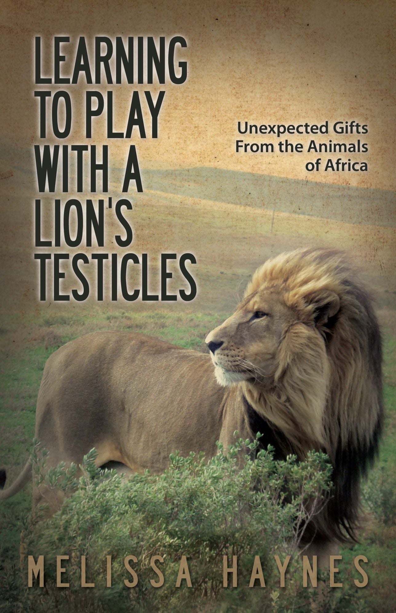Learning to Play With a Lion's Testicles: Unexpected Gifts From the Animals of Africa