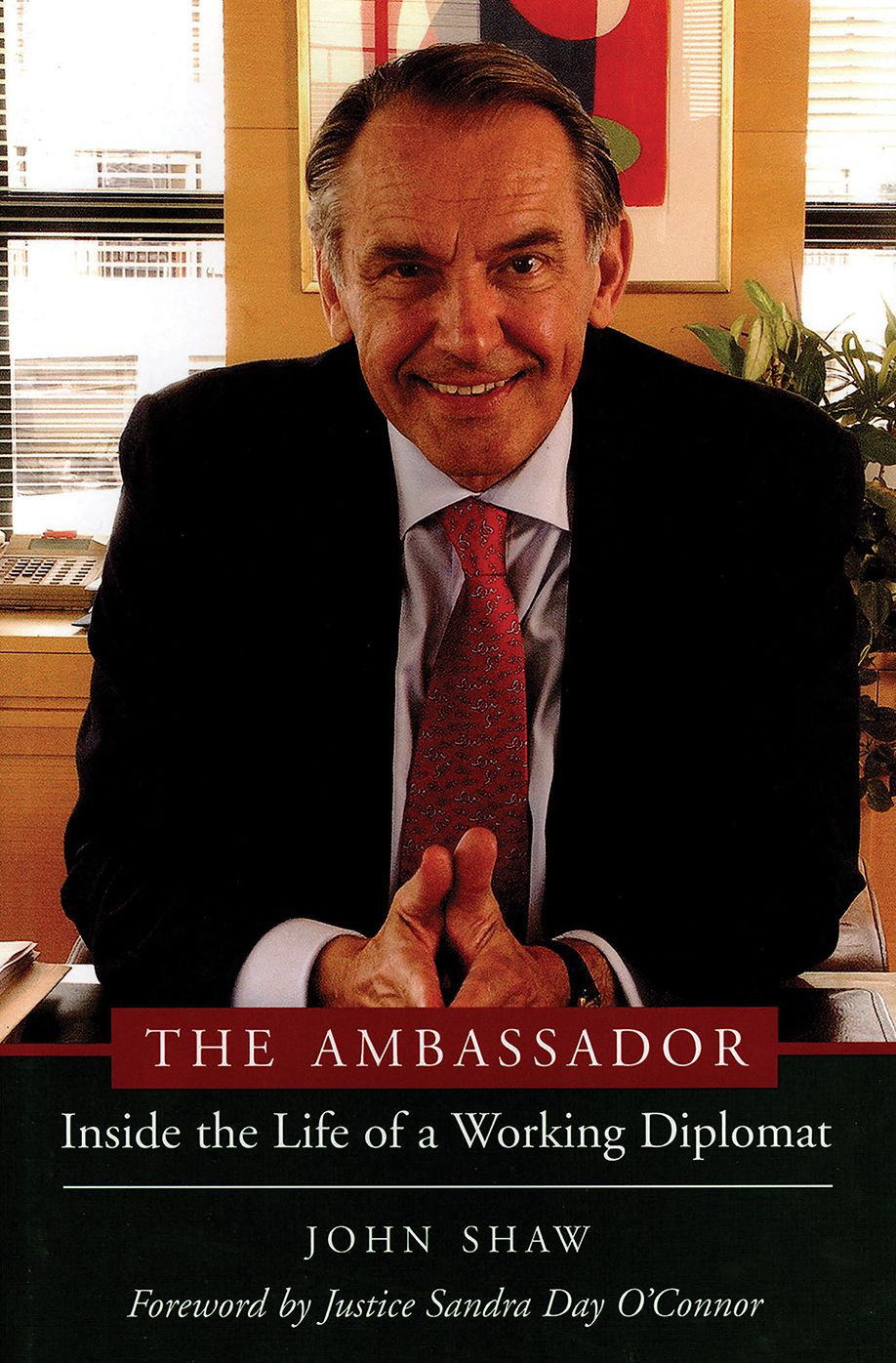 The Ambassador: Inside the Life of a Working Diplomat