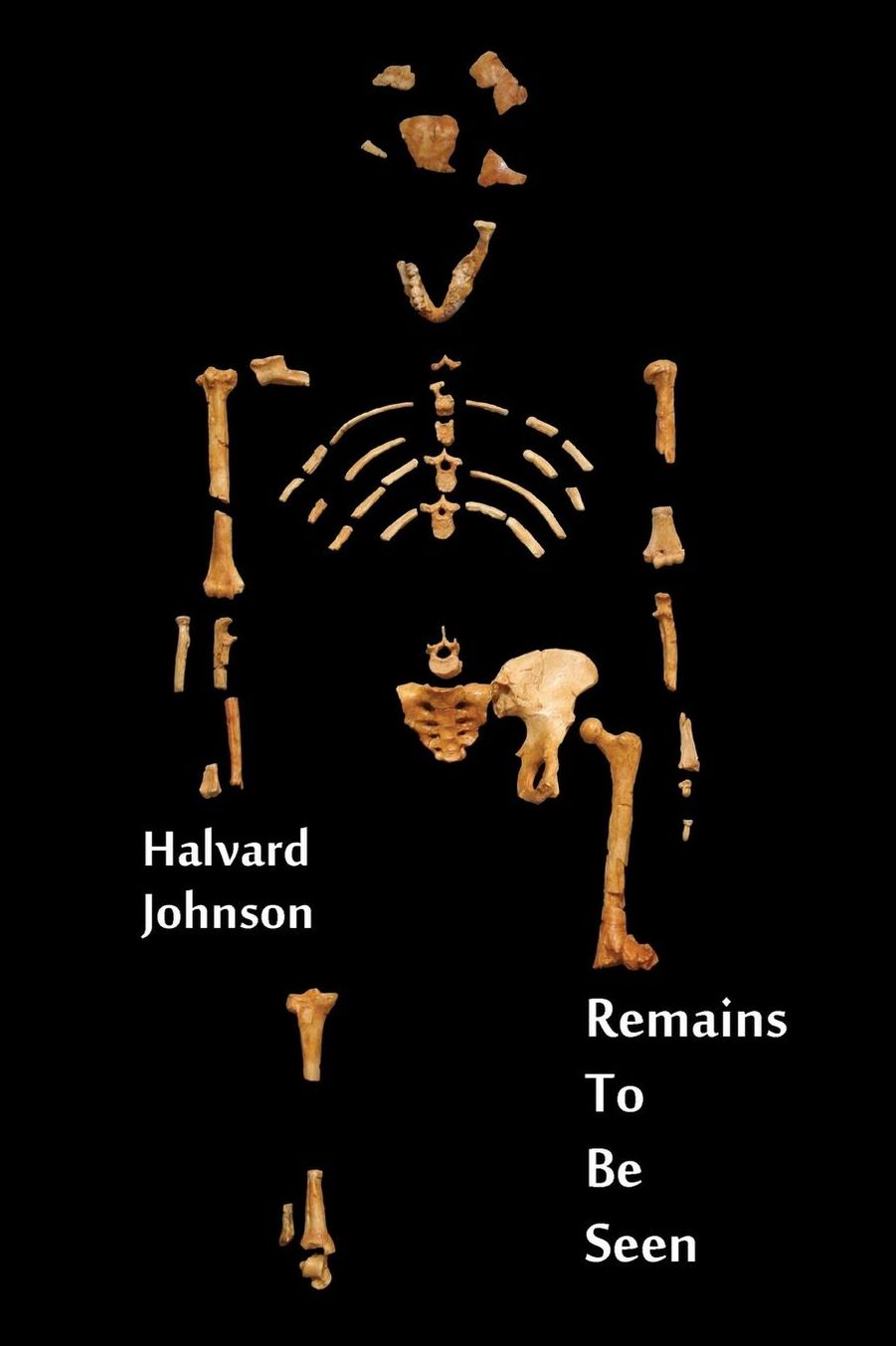 Remains To Be Seen: Works Old and New