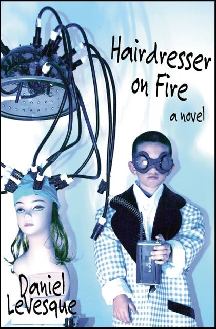 Hairdresser on Fire: A Novel