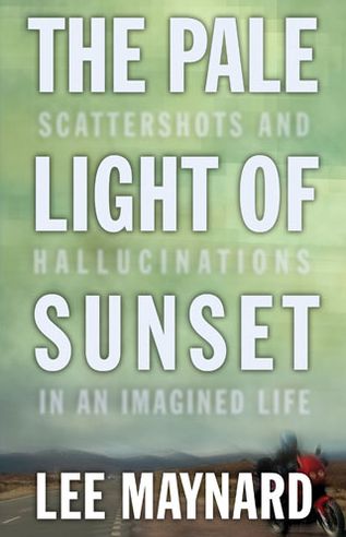 Pale Light: Scattershots And Hallucinations In An Imagined Life