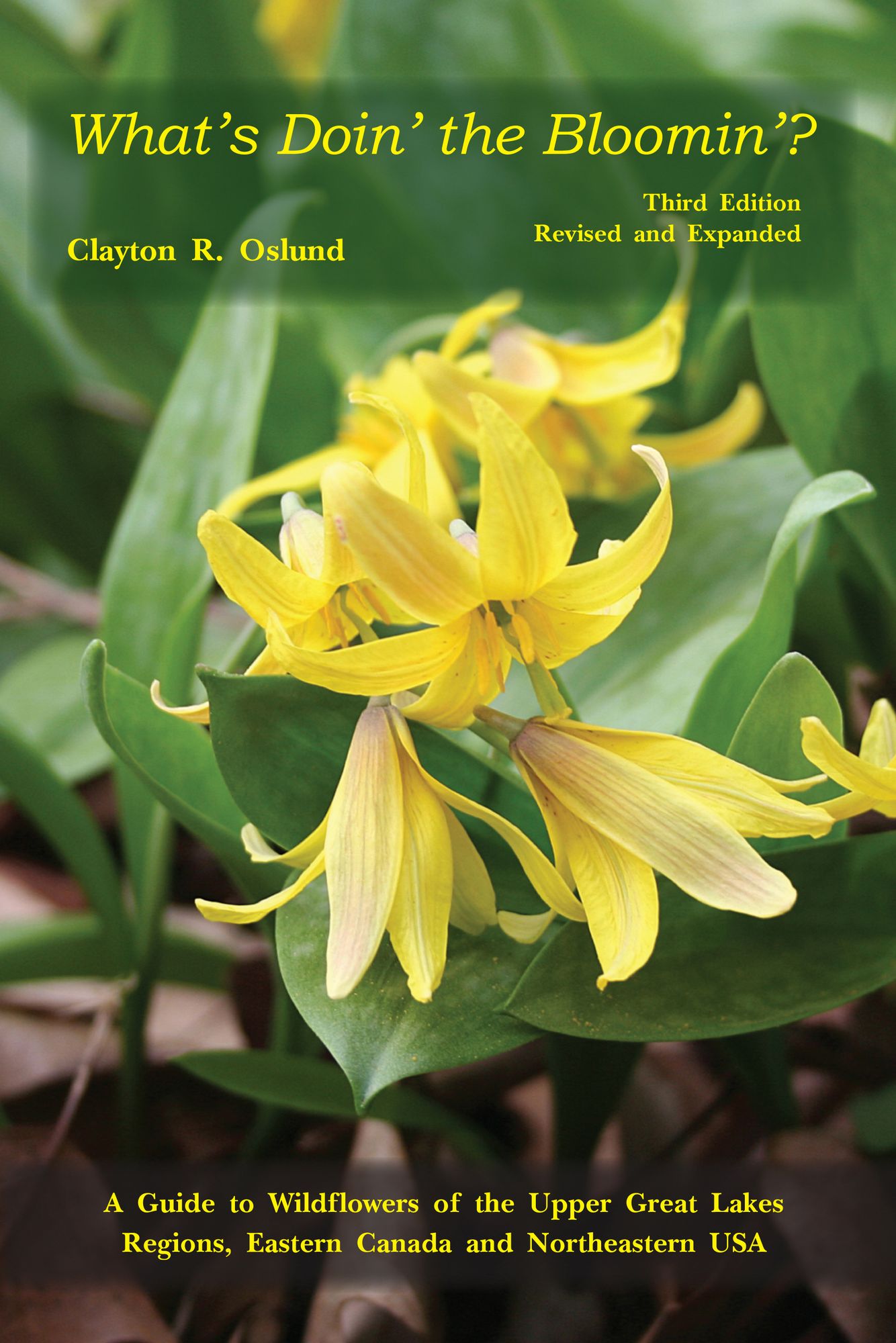 What's Doin' the Bloomin? A Guide to Wildflowers of the Upper Great Lakes Region (Second Edition)