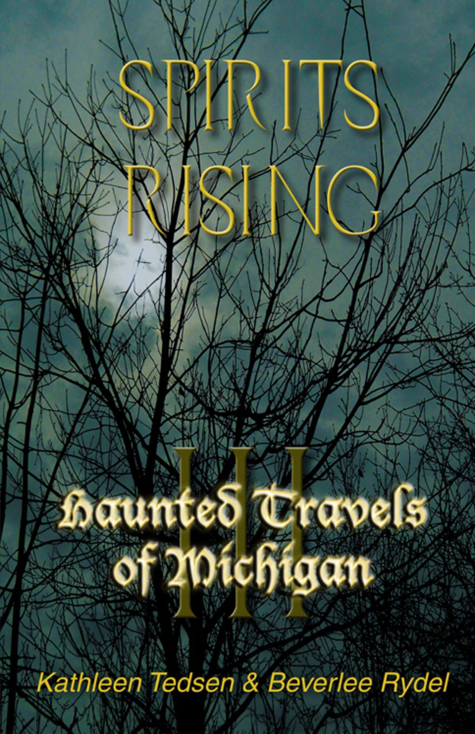 Haunted Travels of Michigan Volume 3: Spirits Rising