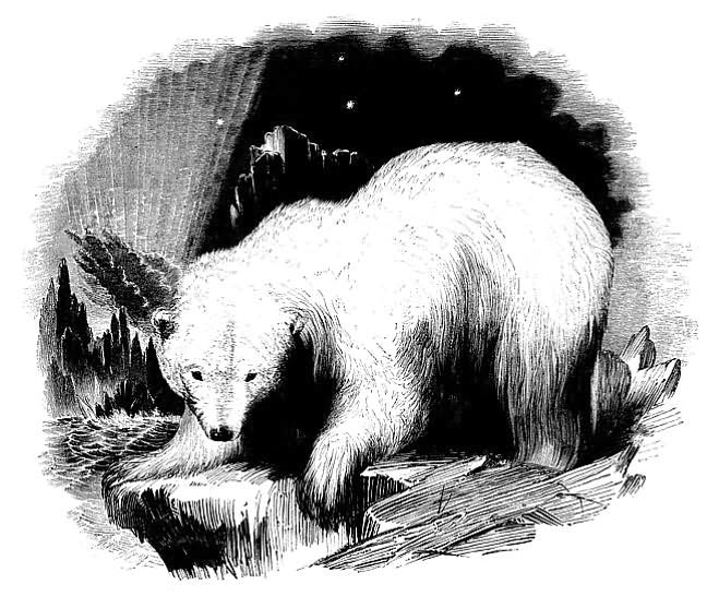 Frozen Ship: The Histories and Tales of Polar Exploration