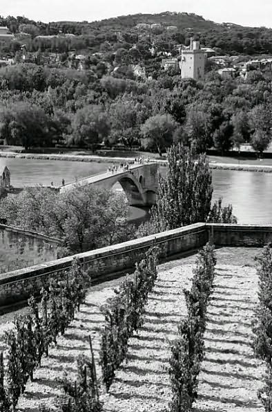 The Popes of Avignon: A Century in Exile