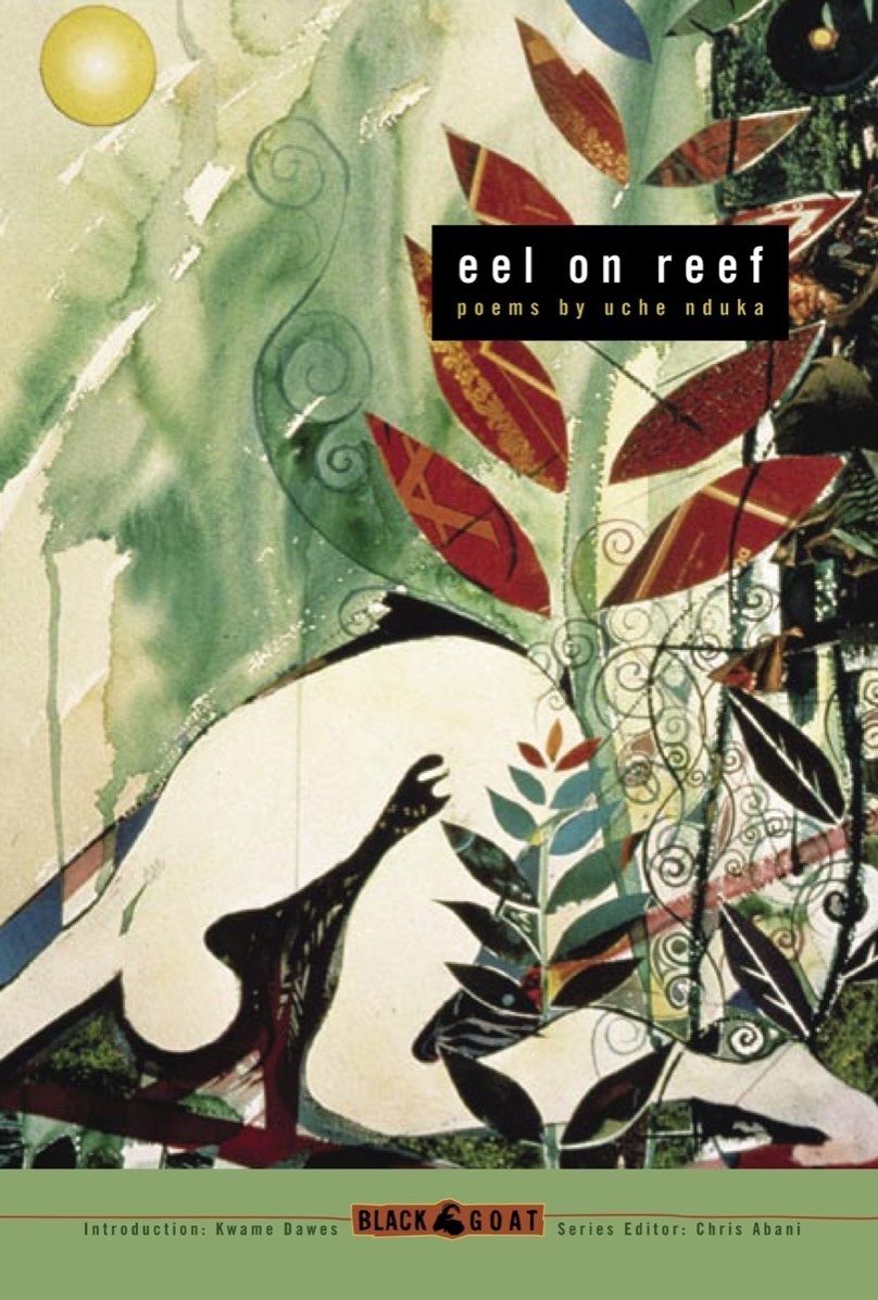eel on reef