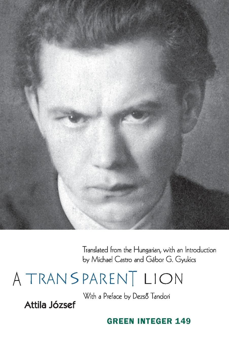 A Transparent Lion