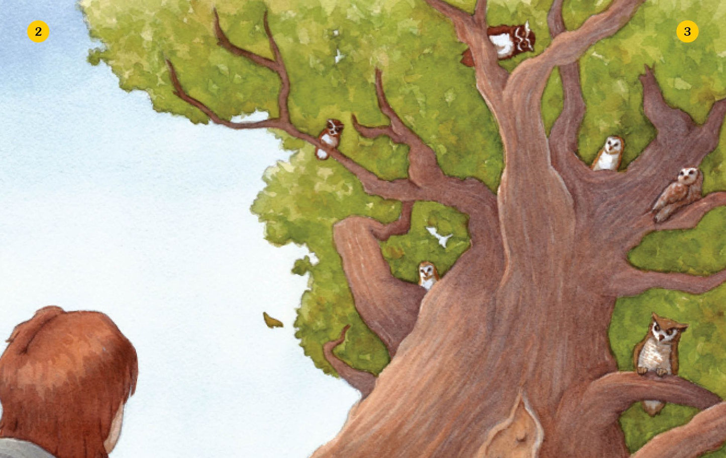 Owl Tree (Choose Your Own Adventure Dragonlarks Series)