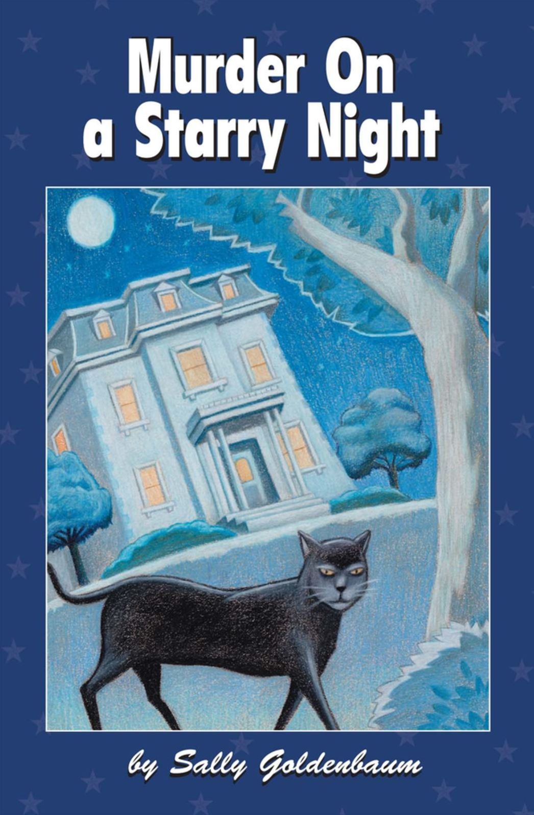 Murder on a Starry Night (Queen Bees Quilt Mystery Series #3)