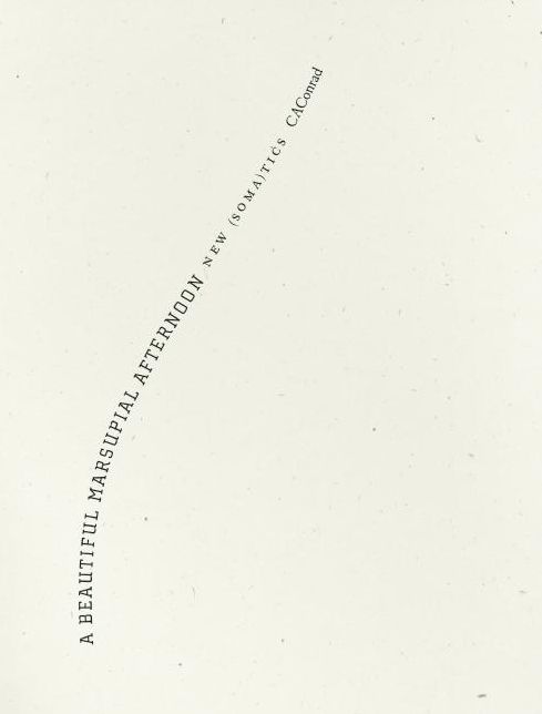 A Beautiful Marsupial Afternoon: New (Soma)tics