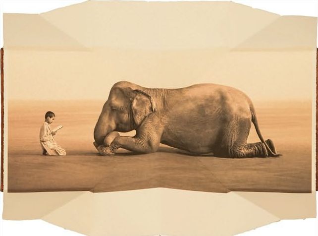 Boy reading to elephant (fold out book)