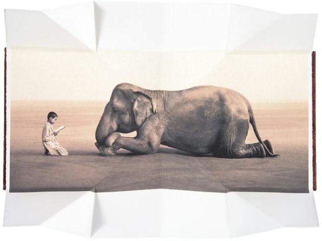 Boy reading to elephant (fold out book)