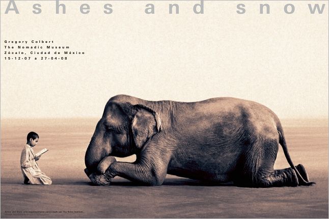 Boy reading to elephant: Mexico City exhibition (standard poster)