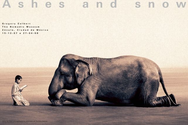 Boy reading to elephant: Mexico City exhibition (standard poster)