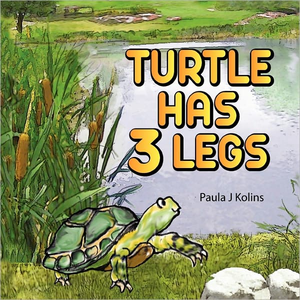 Turtle Has 3 Legs
