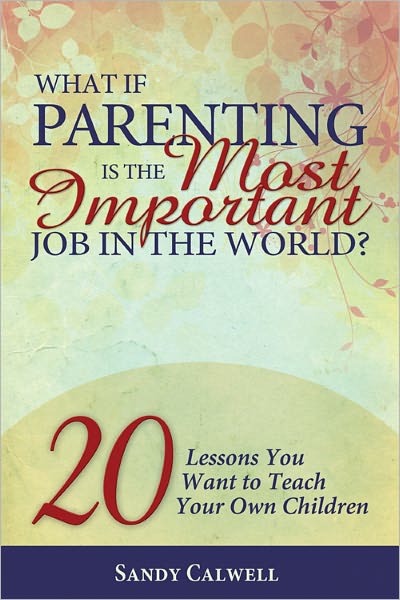What If Parenting Is the Most Important Job in the World?: 20 Lessons You Want to Teach Your Own Children
