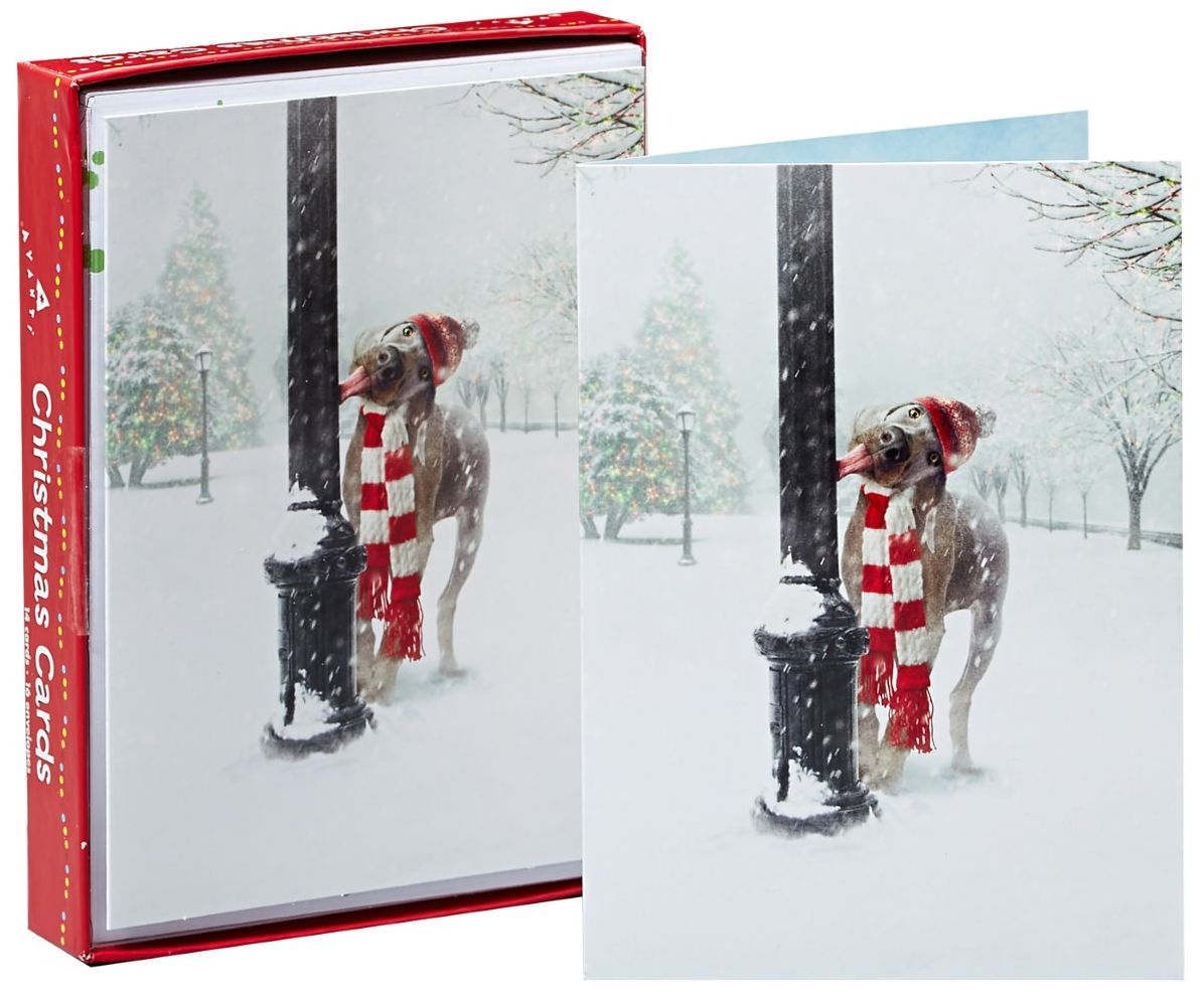 Dog Tongue Stuck on Pole Christmas Boxed Cards