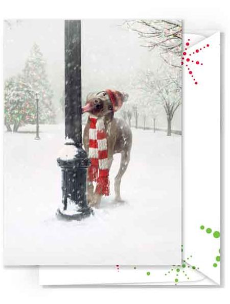 Dog Tongue Stuck on Pole Christmas Boxed Cards