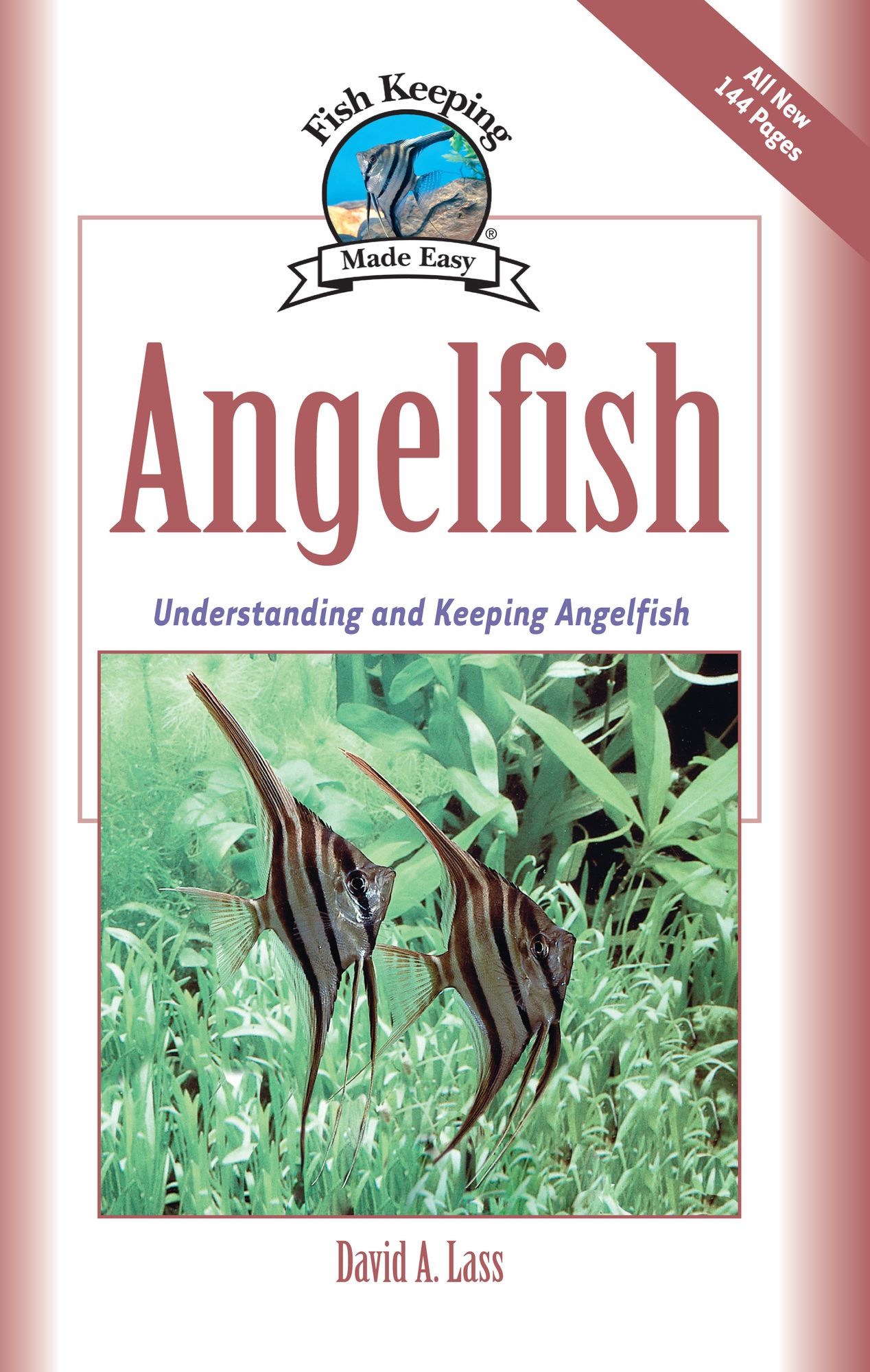Angelfish: Basic Aquarium Setup and Maintenance