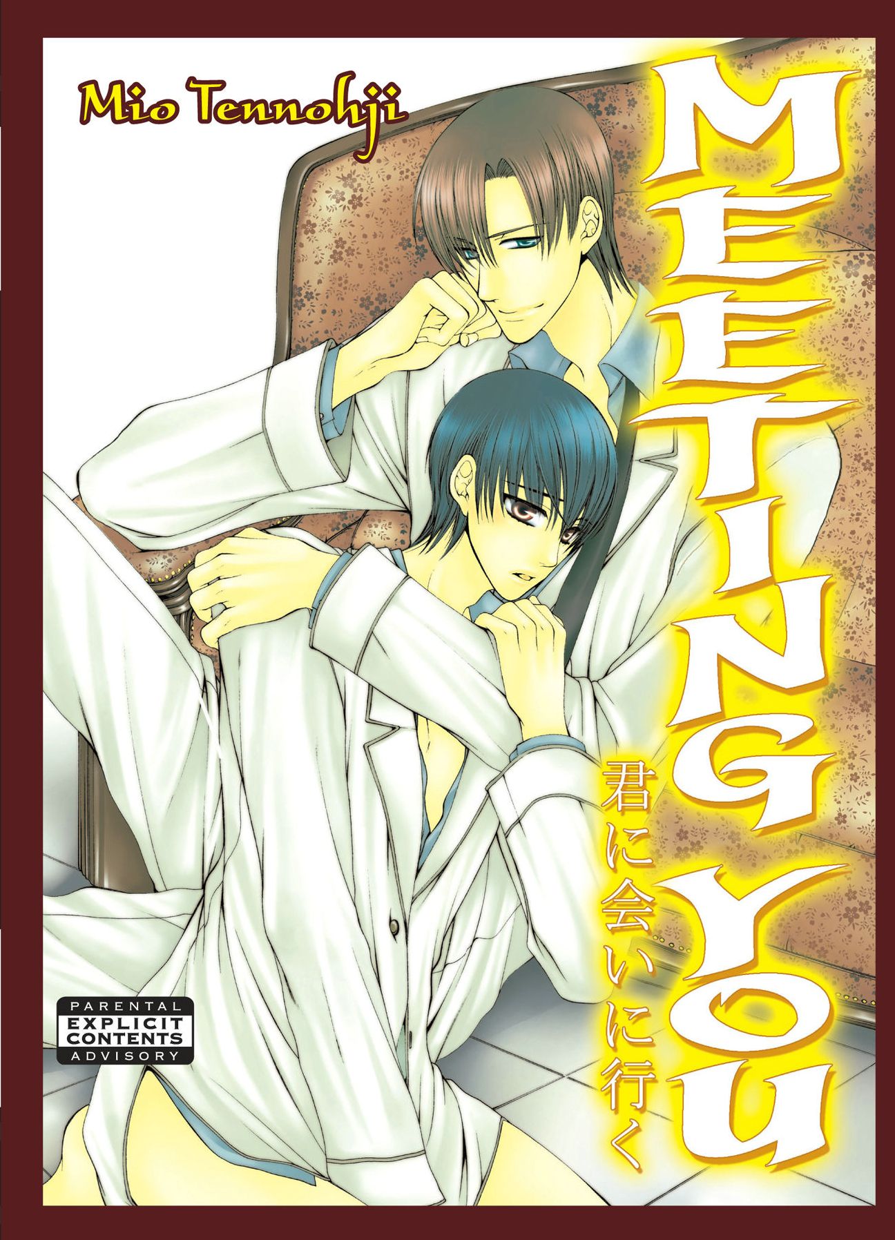 Meeting You (Yaoi)