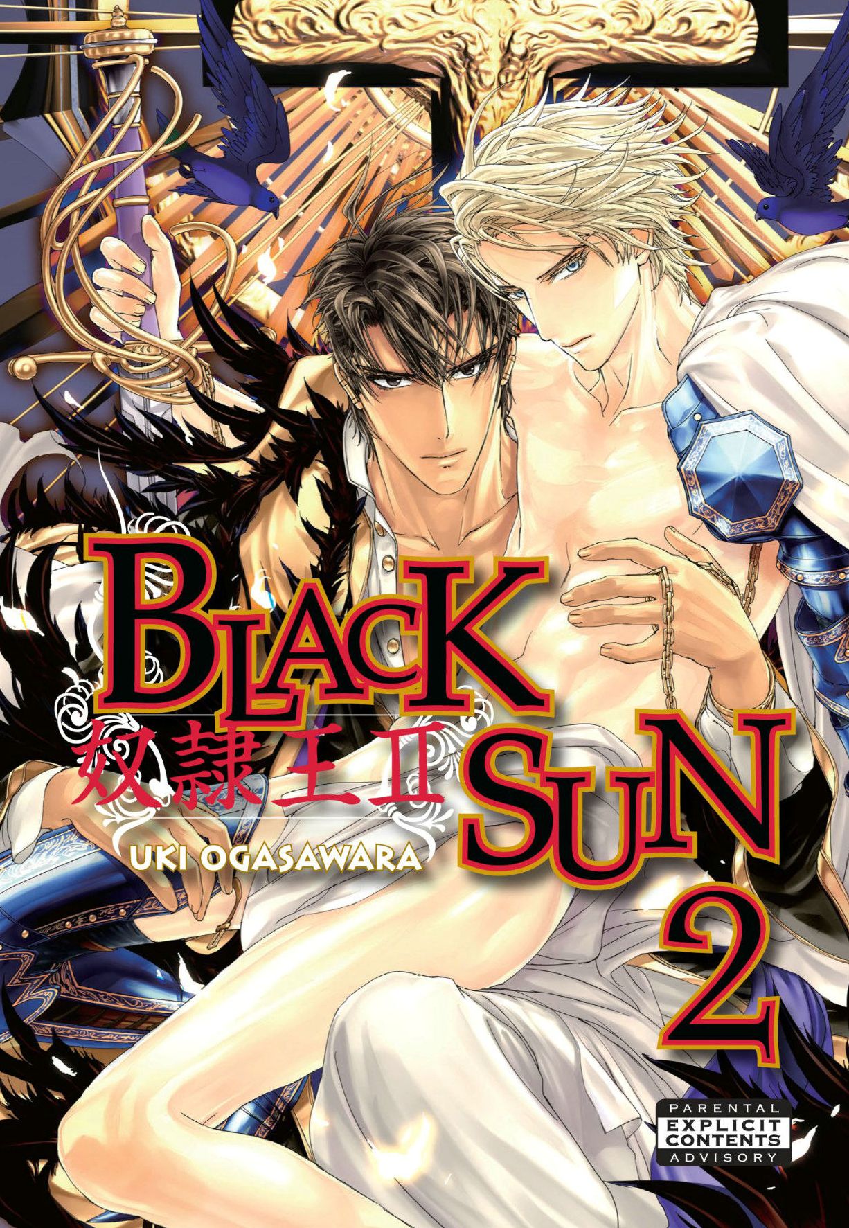 Black Sun, Volume 2 (Yaoi)
